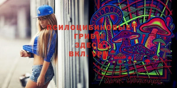 PSILOCYBIN Володарск