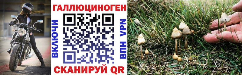 Псилоцибиновые грибы ЛСД  Славянск-на-Кубани 