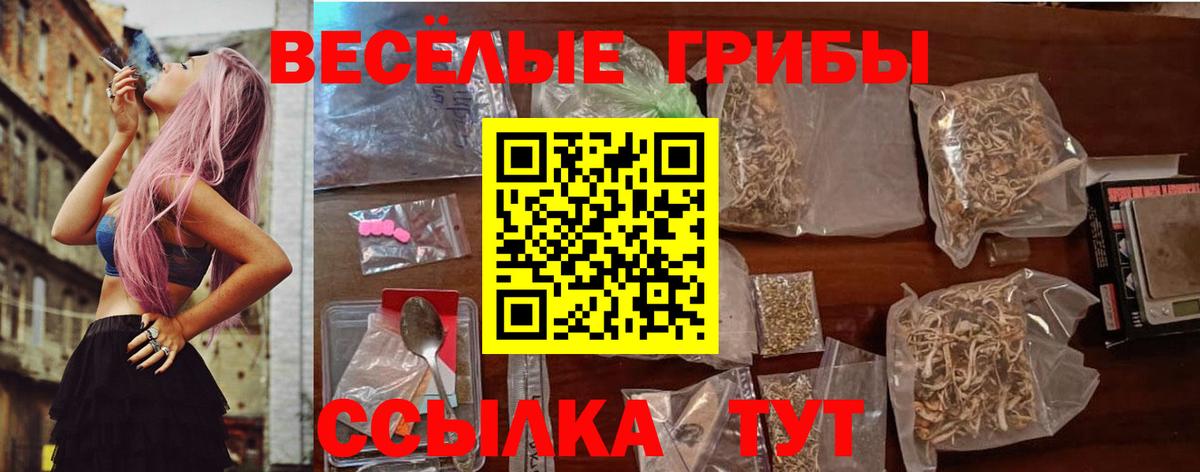 Псилоцибиновые грибы Psilocybine cubensis  Вход с VPN  Славянск-на-Кубани 